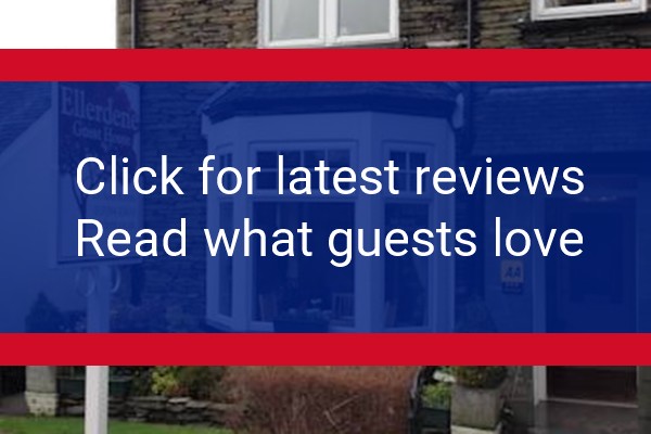 www.ellerdene.co.uk - check out latest independent reviews
