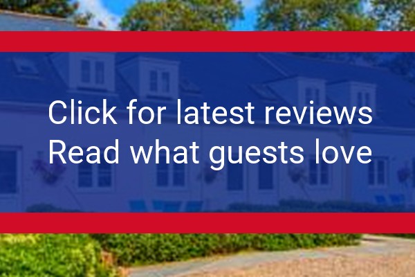 www.ellinghamguernsey.co.uk - check out latest independent reviews