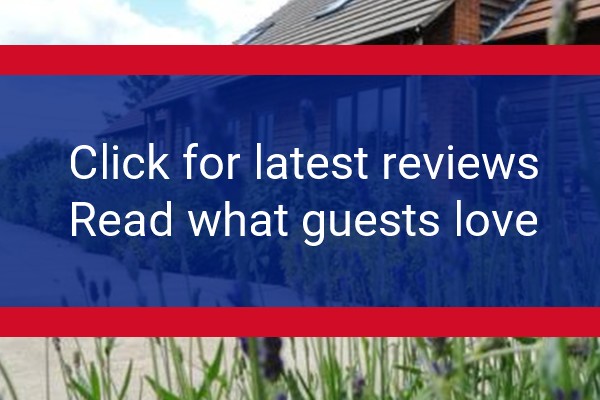 www.elmtreeselfcatering.co.uk - check out latest independent reviews