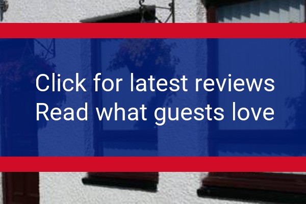 www.erbusaig.com - check out latest independent reviews