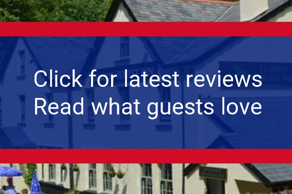 www.exmoorforestinn.co.uk - check out latest independent reviews