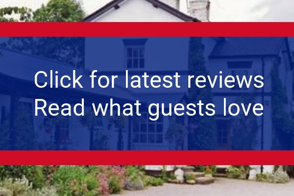 www.eyarthstation.wales - check out latest independent reviews