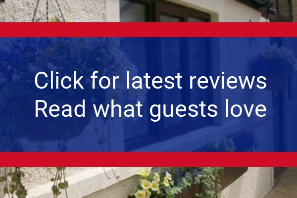 www.fairholmedartmouth.co.uk - check out latest independent reviews