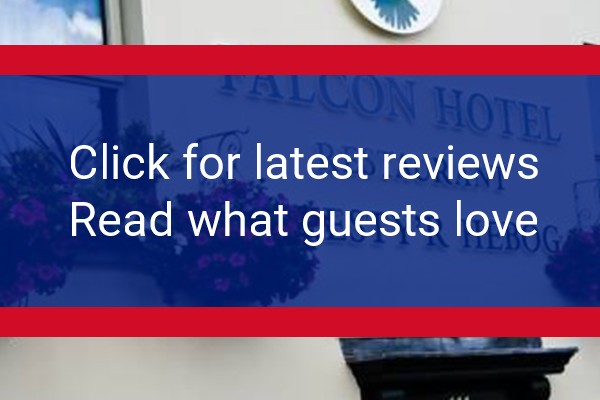www.falconcarmarthen.co.uk - check out latest independent reviews