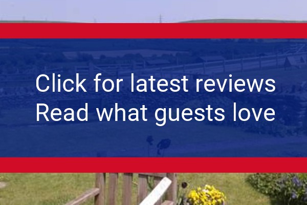 www.featherdown.co.uk - check out latest independent reviews