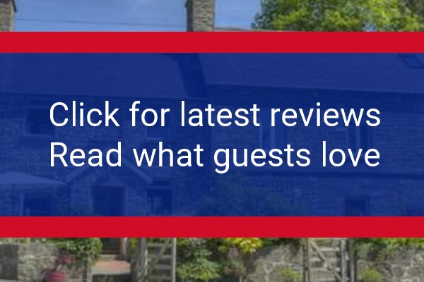 www.felincarrog.co.uk - check out latest independent reviews