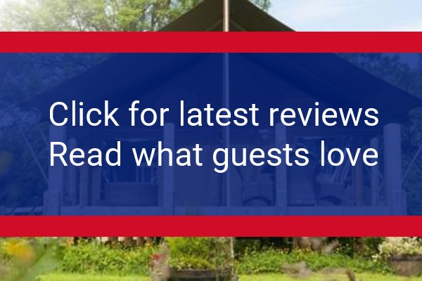 www.felingeri.co.uk - check out latest independent reviews