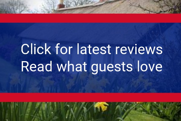 www.fernbankholidaycottage.co.uk - check out latest independent reviews