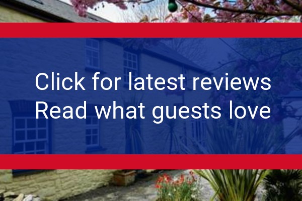www.ffynnonf.co.uk - check out latest independent reviews