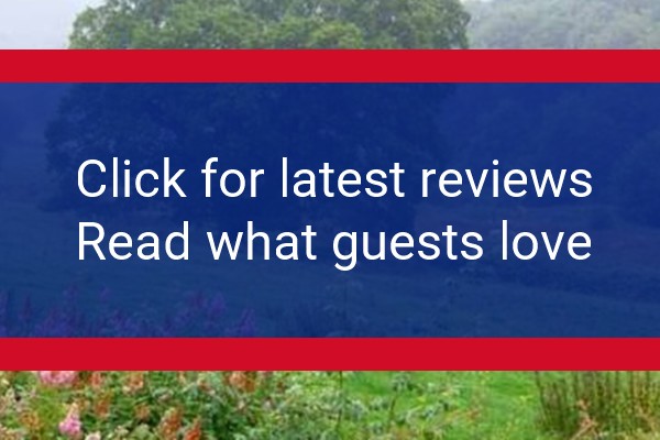 www.ffynnonlwydcottage.co.uk - check out latest independent reviews