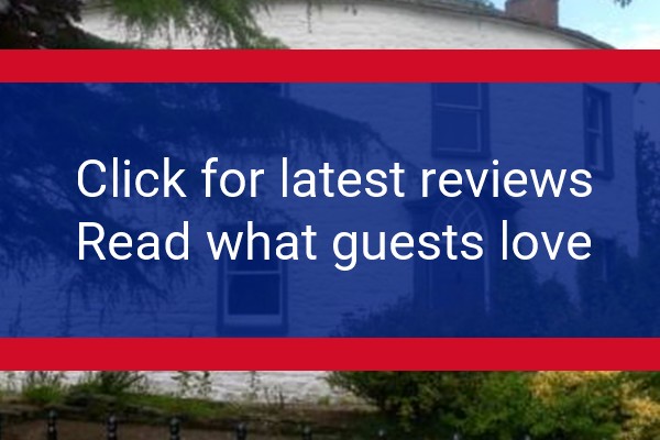www.fiddlebackfarm.co.uk - check out latest independent reviews