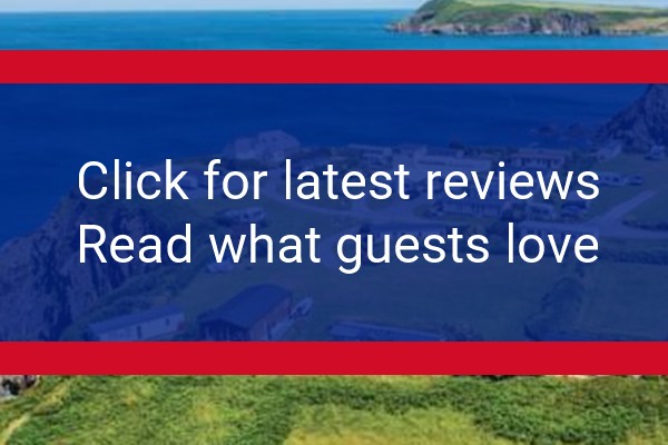 www.fishguardbay.com - check out latest independent reviews