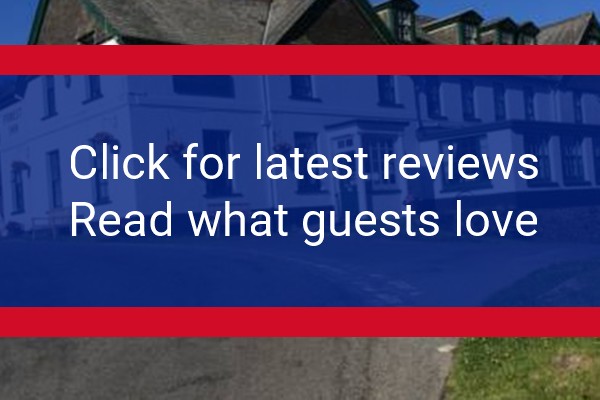 www.forestinndartmoor.co.uk - check out latest independent reviews