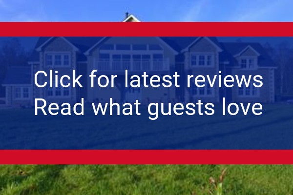 www.forestviewbandb.com - check out latest independent reviews
