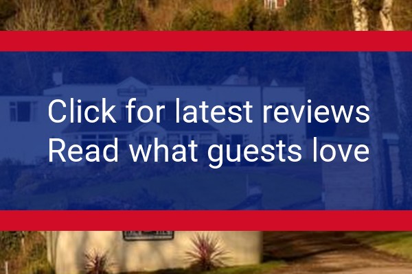 www.forestviewguesthouse.co.uk - check out latest independent reviews
