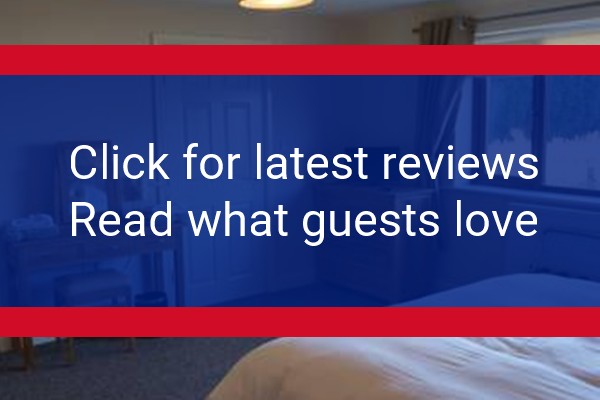 www.forestviewholidaypark.co.uk - check out latest independent reviews
