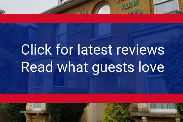 www.forestviewhotel.co.uk - check out latest independent reviews