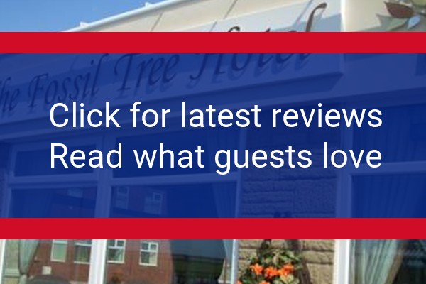 www.fossiltree.co.uk - check out latest independent reviews