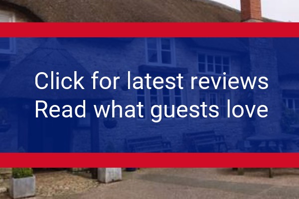 www.georgeinnchardstock.co.uk - check out latest independent reviews