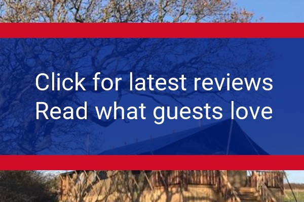 www.glampingthewightway.co.uk - check out latest independent reviews