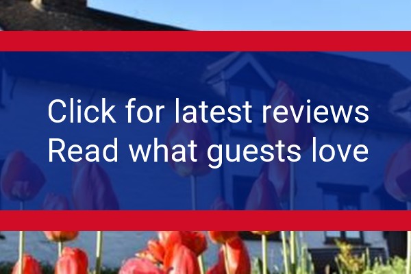 www.glencoed.co.uk - check out latest independent reviews