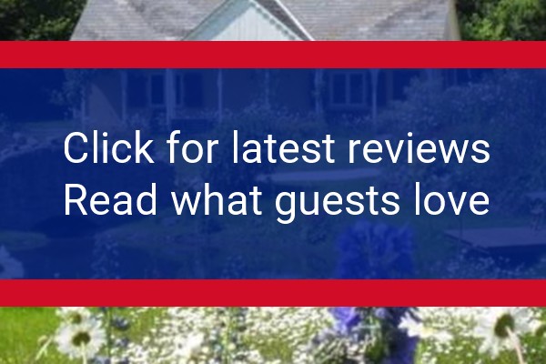 www.glyndwrvineyard.co.uk - check out latest independent reviews