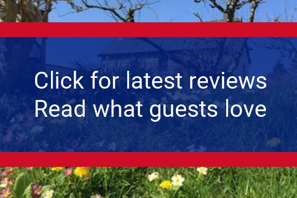 www.gorslwyd.co.uk - check out latest independent reviews