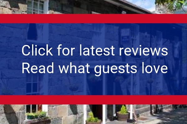 www.grapeshotelsnowdonia.co.uk - check out latest independent reviews