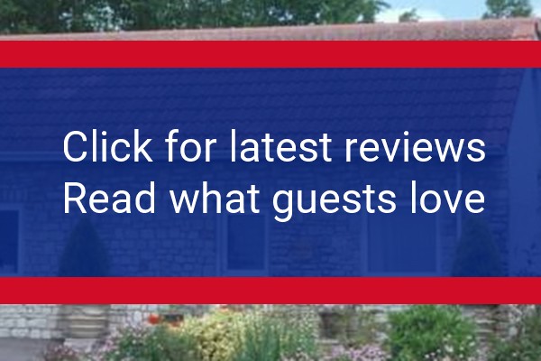 www.greyfieldfarm.com - check out latest independent reviews