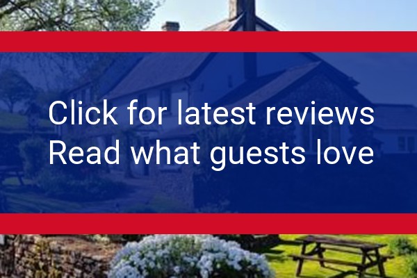 www.greyhound-inn.com - check out latest independent reviews