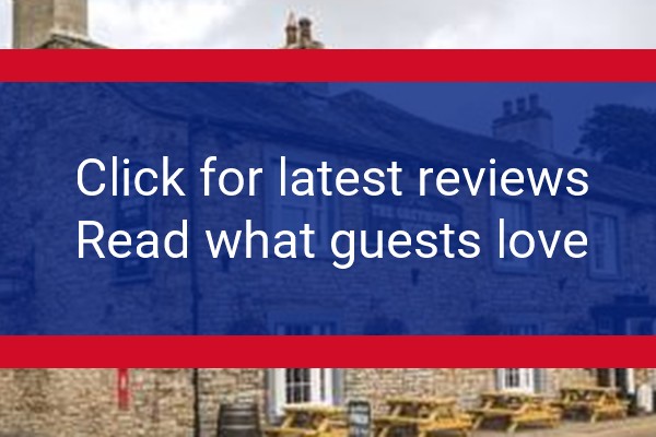 www.greyhoundshap.co.uk - check out latest independent reviews