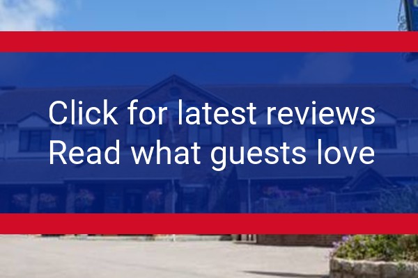 www.griffin-inn-newquay.co.uk - check out latest independent reviews
