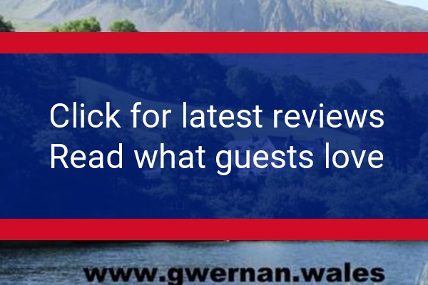 www.gwernan.wales - check out latest independent reviews