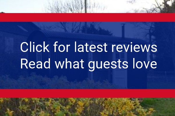 www.hadrianshepherdhuts.co.uk - check out latest independent reviews