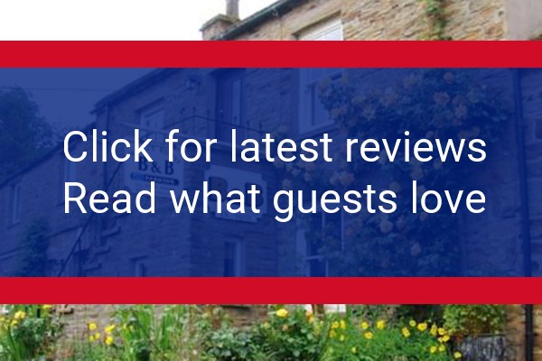 www.hazelsroost.com - check out latest independent reviews