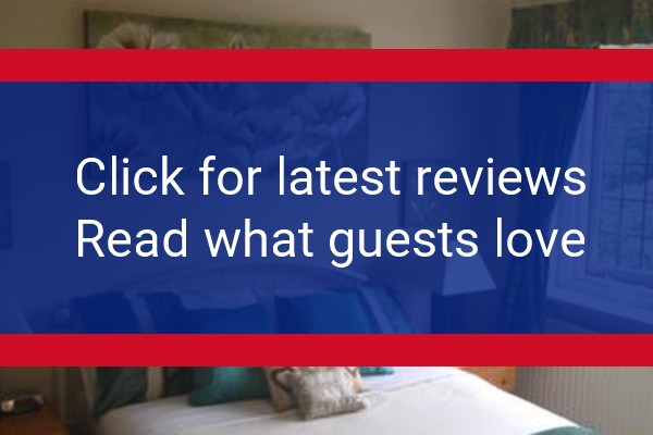 www.heartinhandpub.com - check out latest independent reviews