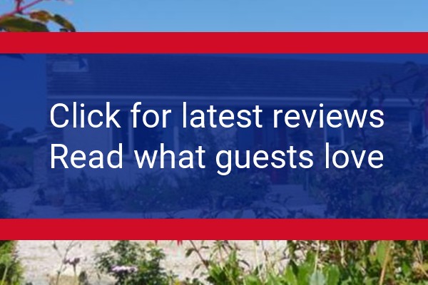 www.higherchapelfarm.co.uk - check out latest independent reviews