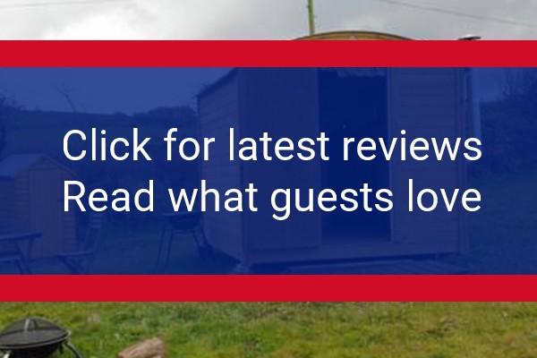 www.higherlaityfarm.co.uk - check out latest independent reviews
