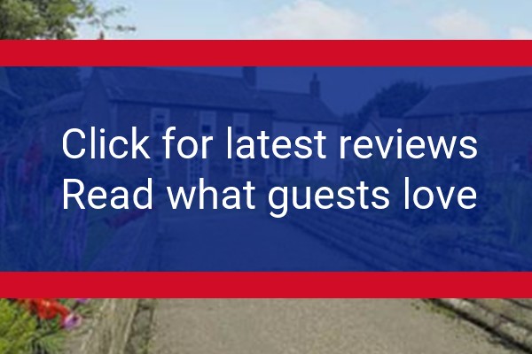 www.hollowcreek.co.uk - check out latest independent reviews