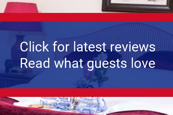 www.hollyhousebracknell.co.uk - check out latest independent reviews