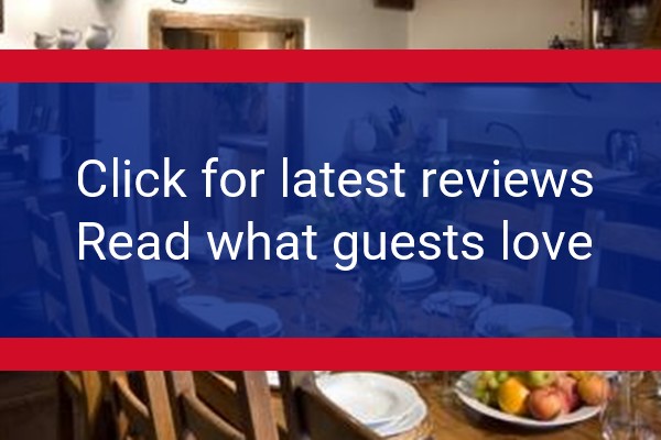 www.holtfarmholidays.com - check out latest independent reviews