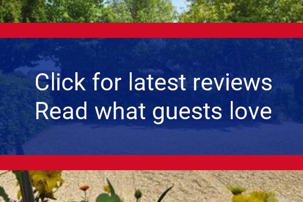 www.homefromhomeguesthouse.co.uk - check out latest independent reviews