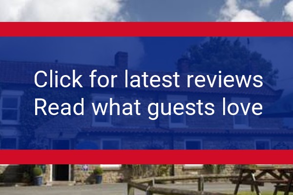 www.horseshoelevisham.co.uk - check out latest independent reviews