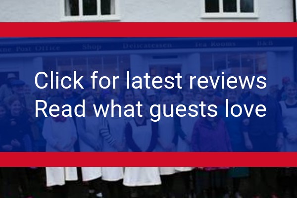 www.hoxne.shop - check out latest independent reviews