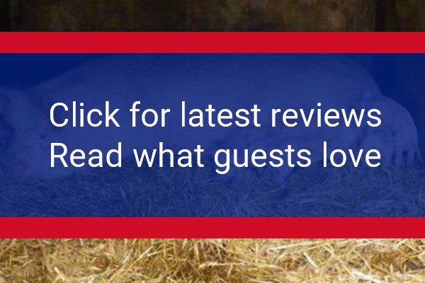 www.indicknowle.co.uk - check out latest independent reviews
