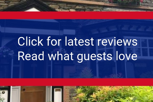 www.ivy-bank.co.uk - check out latest independent reviews