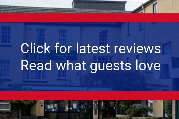 www.ivybushroyal.co.uk - check out latest independent reviews
