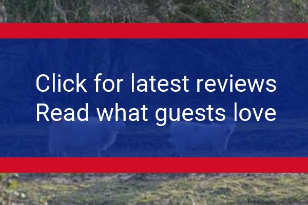 www.kidsloveyurts.co.uk - check out latest independent reviews