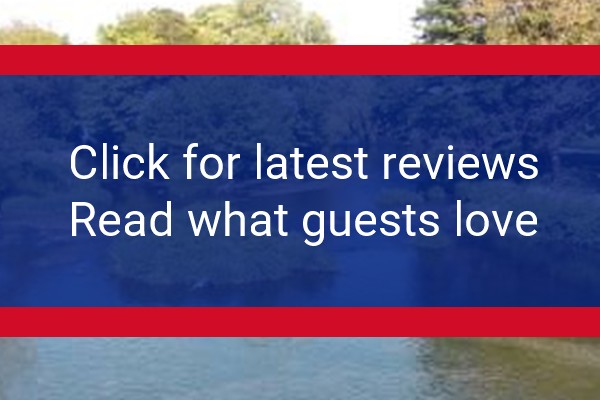 www.kingsarmsblandford.co.uk - check out latest independent reviews