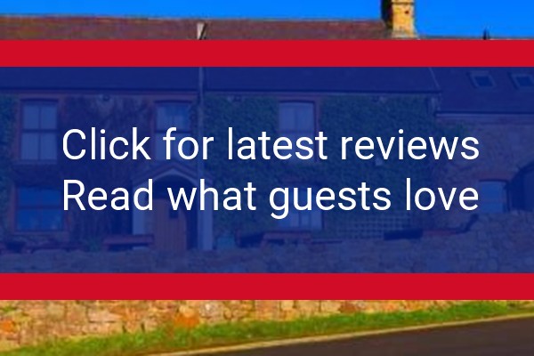 www.kingsheadgower.co.uk - check out latest independent reviews